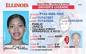 Buy Full Illinois driver's license
